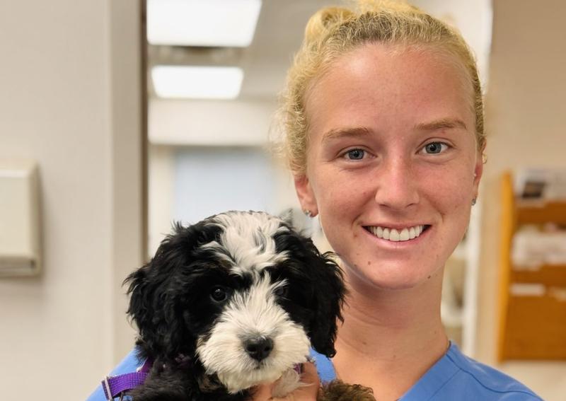 Carousel Slide 4: Green Bay Dog Veterinarian