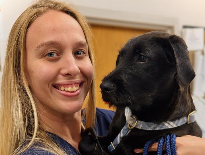 USDA Certified Veterinarian