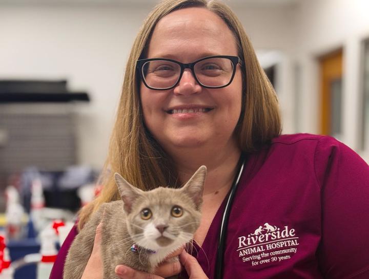Puppy & Kitten Care 