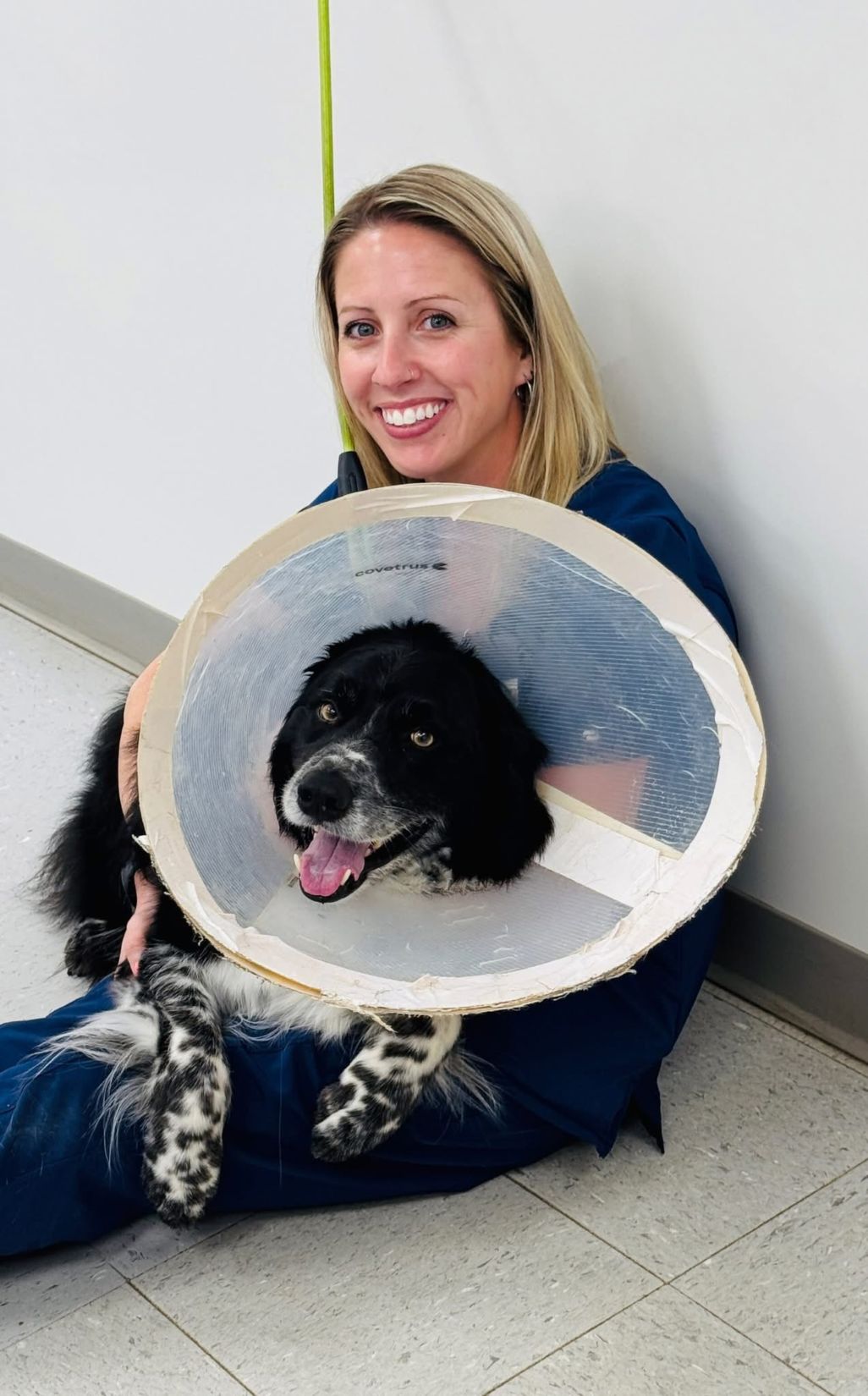 Emergency Veterinary Care